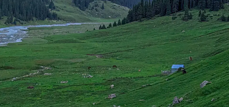 Horské údolí v Kyrgyzstánu při západu slunce, s rozsáhlými zelenými loukami, řekou a malým osamělým domečkem. V dáli se tyčí osvícené štíty, zatímco oblaky odrážejí teplé odstíny večerního slunce. Idylická krajina evokuje klid a harmonii s přírodou.