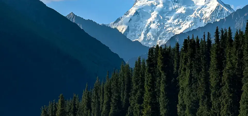 Malebná horská scenérie v Kyrgyzstánu s impozantním zasněženým vrcholem hory v pozadí. V popředí se nachází zelené údolí s hustým jehličnatým lesem a tradičními kyrgyzskými jurtami, které naznačují nomádský způsob života. Nad horami je jasná modrá obloha s roztroušenými bílými mraky, což umocňuje dramatický kontrast mezi zelení údolí a ledovým štítem hory.